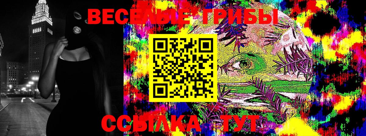 Котельники  Псилоцибиновые грибы Psilocybe  Вход с VPN 